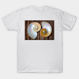 Two Chambered Nautilus T-Shirt